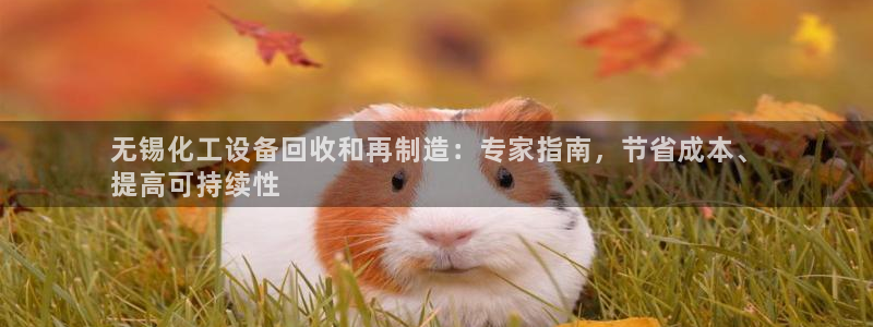 门徒娱乐注册下载安装