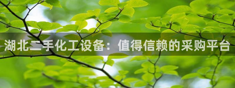 门徒娱乐系3.7.9.9.7 主管