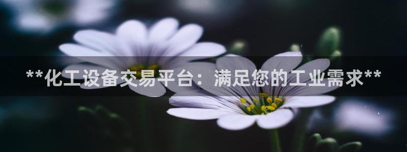 门徒平台注册登陆失败怎么回事