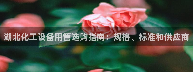 门徒平台主管代理