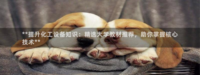 门徒平台注册登陆不上怎么办