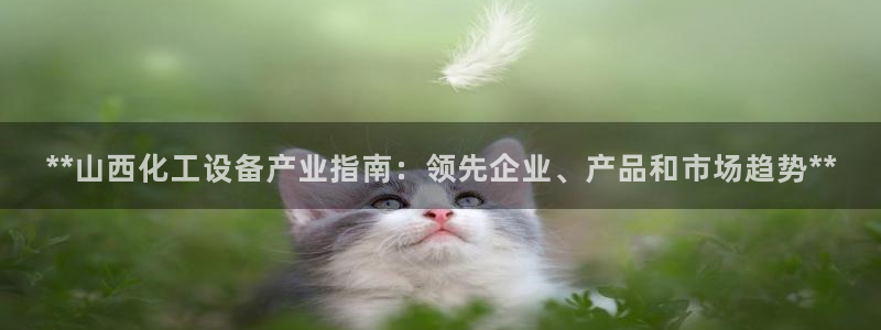 门徒娱乐公司介绍
