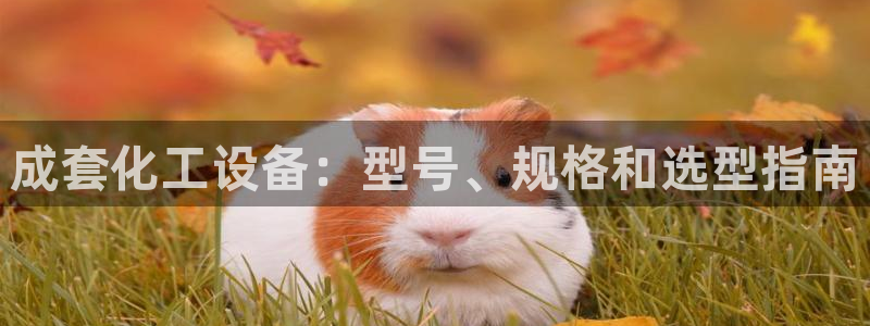 门徒平台还能用么