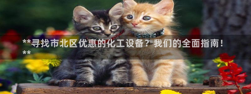 门徒平台服务站