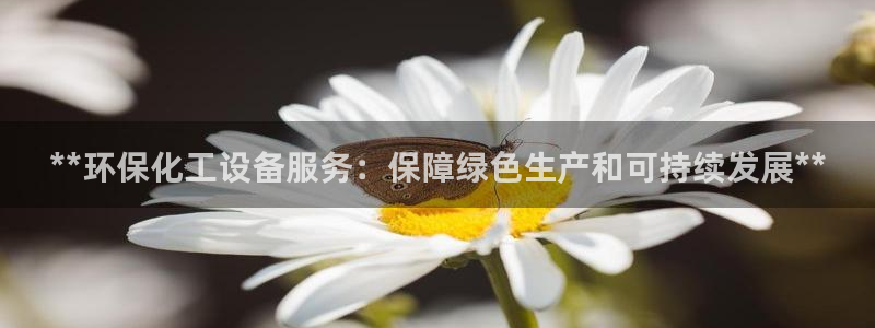 门徒平台代理