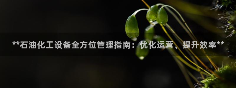 门徒平台胡 5O6917 平台：**石油化工设备全