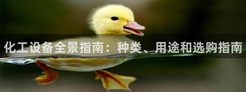 门徒平台注册中心官网查询