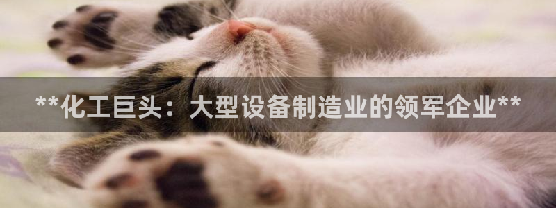 门徒平台登录步骤图：**化工巨头：大型设备制造业的领军企业*