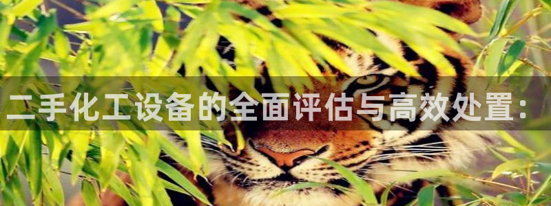 门徒平台官网首页