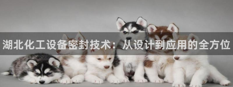 门徒娱乐怎么下载软件：湖北化工设备密封技术：从设计